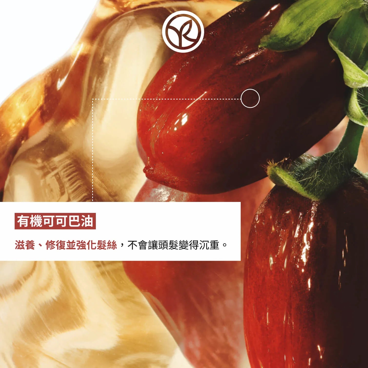 敏感头皮怎样选护发素